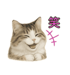 猫の愛ちゃんの日常（個別スタンプ：24）