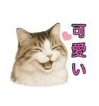 猫の愛ちゃんの日常（個別スタンプ：25）
