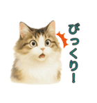 猫の愛ちゃんの日常（個別スタンプ：26）