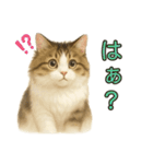 猫の愛ちゃんの日常（個別スタンプ：27）