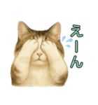 猫の愛ちゃんの日常（個別スタンプ：28）
