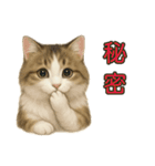 猫の愛ちゃんの日常（個別スタンプ：29）