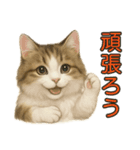 猫の愛ちゃんの日常（個別スタンプ：32）