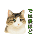 猫の愛ちゃんの日常（個別スタンプ：38）