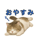 猫の愛ちゃんの日常（個別スタンプ：40）