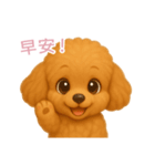 ふわかわ日和：トイプードル【台湾語】（個別スタンプ：3）