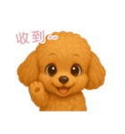 ふわかわ日和：トイプードル【台湾語】（個別スタンプ：9）