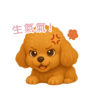 ふわかわ日和：トイプードル【台湾語】（個別スタンプ：13）