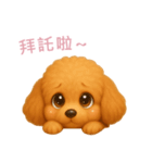 ふわかわ日和：トイプードル【台湾語】（個別スタンプ：14）