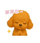 ふわかわ日和：トイプードル【台湾語】（個別スタンプ：15）