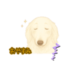 ボルゾイのいる暮らし2（個別スタンプ：6）