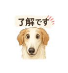 ボルゾイのいる暮らし2（個別スタンプ：11）