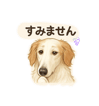 ボルゾイのいる暮らし2（個別スタンプ：12）