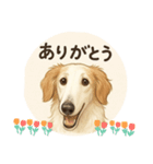 ボルゾイのいる暮らし2（個別スタンプ：14）