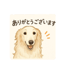 ボルゾイのいる暮らし2（個別スタンプ：24）