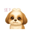 ふわかわ日和：シーズー【台湾語】（個別スタンプ：1）
