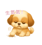 ふわかわ日和：シーズー【台湾語】（個別スタンプ：13）