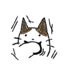 取り扱いにくい猫さん（個別スタンプ：1）
