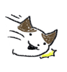 取り扱いにくい猫さん（個別スタンプ：2）