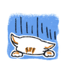 取り扱いにくい猫さん（個別スタンプ：20）