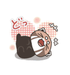 【日常】レッサーパンダくん11（個別スタンプ：31）