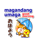 タガログ語,英語,日本語.コタとピヨ連絡用（個別スタンプ：3）
