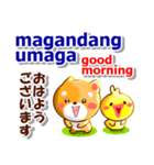 タガログ語,英語,日本語.コタとピヨ連絡用（個別スタンプ：4）