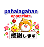 タガログ語,英語,日本語.コタとピヨ連絡用（個別スタンプ：8）