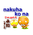 タガログ語,英語,日本語.コタとピヨ連絡用（個別スタンプ：15）