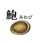 魚へん図鑑（個別スタンプ：4）