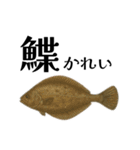魚へん図鑑（個別スタンプ：12）