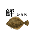 魚へん図鑑（個別スタンプ：32）
