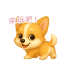 ふわかわ日和：コーギー【台湾語】（個別スタンプ：2）