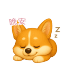 ふわかわ日和：コーギー【台湾語】（個別スタンプ：4）