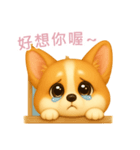 ふわかわ日和：コーギー【台湾語】（個別スタンプ：7）