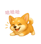 ふわかわ日和：コーギー【台湾語】（個別スタンプ：11）