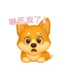 ふわかわ日和：コーギー【台湾語】（個別スタンプ：12）