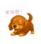 ふわかわ日和：ダックスフンド【台湾語】（個別スタンプ：2）
