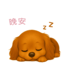 ふわかわ日和：ダックスフンド【台湾語】（個別スタンプ：4）