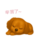 ふわかわ日和：ダックスフンド【台湾語】（個別スタンプ：6）