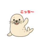 もちもちアザラシの毎日スタンプ（個別スタンプ：2）