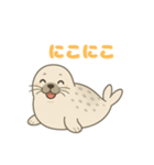 もちもちアザラシの毎日スタンプ（個別スタンプ：3）