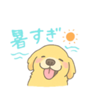 ゆるふわゴールデンレトリバー（個別スタンプ：2）