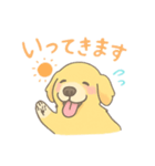 ゆるふわゴールデンレトリバー（個別スタンプ：3）