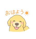 ゆるふわゴールデンレトリバー（個別スタンプ：5）