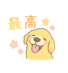 ゆるふわゴールデンレトリバー（個別スタンプ：8）