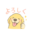 ゆるふわゴールデンレトリバー（個別スタンプ：10）