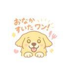 ゆるふわゴールデンレトリバー（個別スタンプ：13）
