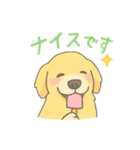ゆるふわゴールデンレトリバー（個別スタンプ：16）