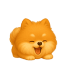ふわかわ日和：ポメラニアン（個別スタンプ：3）